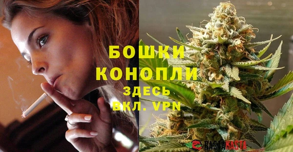 стаф Рославль
